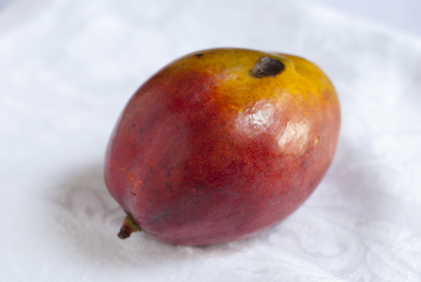 tonno scottato con sale di maldon, maionese e mango